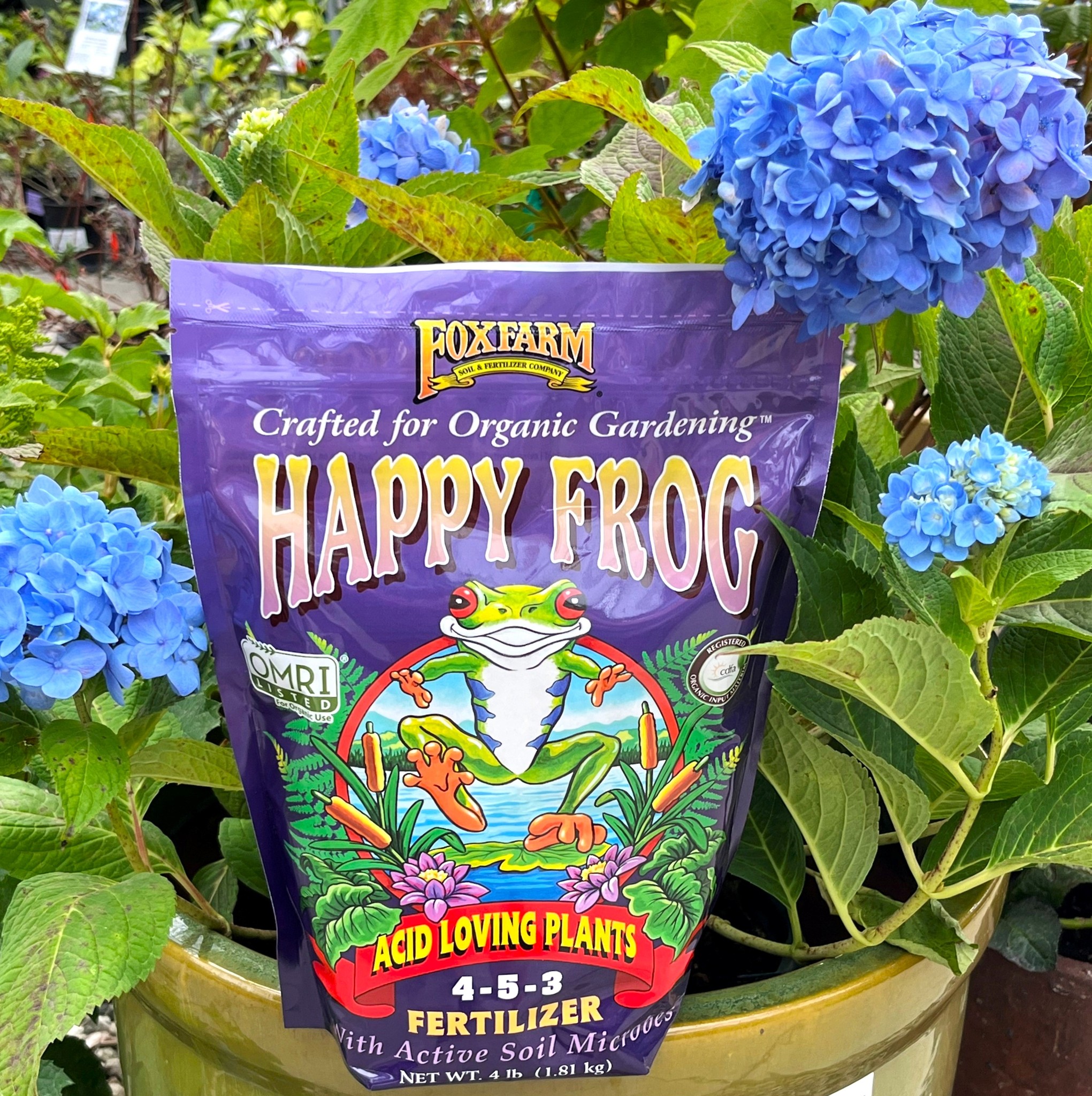 🐸Weekend Special🐸 Happy Frog Fertilizers are 25% off when you shop with us this weekend, Fri 10/10 through Sun 10/12. This organic, balanced fertilizer is chock full of readily available nutrients, and there are different blends that cater to different plants' needs. Safe and sustainable, it's a great choice for gardeners.
#happyfrog #happyfrogfertilizer #happyfrogfertilizerorganic #berkeleyhorticulturalnursery #berkeleyhort #bayareaplantshop #berkeleyplantsale #weekendspecial #bayareaplants #bayareaplantpeople #berkeleyhorticultural #plantlife #bayareagardens