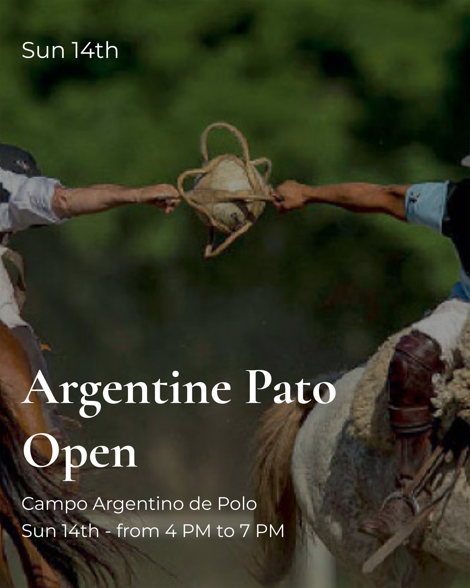 December is sparkling, and the city is buzzing with energy. Dive into festive music, cheer at thrilling sports events, and soak in the magic of the holiday season all month long. ✨
Tip: Bring your curiosity, your holiday spirit, and an empty calendar... December is ready to shine with you! 🎉
#localagenda #poetrybuilding #recoleta #buenosaires #argentina #fyp