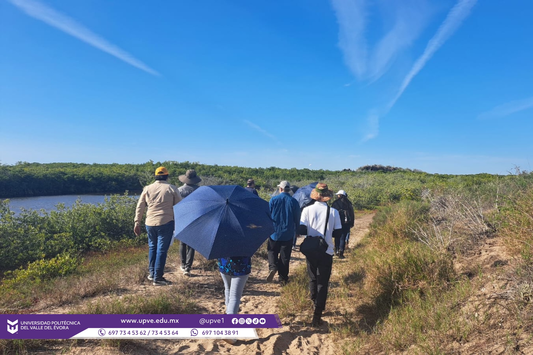 El recorrido académico comenzó en el pueblo Mágico El Fuerte, en primera instancia se visitó la Caleta, un pueblo pegado al rio fuerte en cual se encuentra el cerro de la Mascara administrado y cuidado por el C. Jesús Antonio Sánchez Chan, quien le dio un recorrido sobre la historia del lugar a estudiantes de la carrera de Ing. en Manejo de Recursos Naturales y profesoras de la UPVE.
Siguiendo con el recorrido, el día 05 de febrero del 2026 se visitó el Área Natural Protegida de la Isla de Maviri, con el Biol. Ramel Bernal Valle, encargado del Área Natural Protegida de El Maviri, bajo la administración de los recursos la CONANP (Comisión Nacional de Áreas Naturales Protegidas de México), encargada de conservar y administrar los ecosistemas y la biodiversidad del país; con la participación de las y los estudiantes y La M.C. Adriana Rivera López y la Ing. Fidelia Higuera Blancarte, de la carrera de Ingeniería en Manejo de Recursos Naturales, con el propósito de complementar la formación teórica mediante experiencias prácticas en campo. Esta actividad se desarrolla como parte de las materias de Manejo de Flora Silvestre y Servicios Ambientales, con el fin de fortalecer las capacidades técnicas, analíticas y de observación de los alumnos.
Durante el recorrido se realizarán diversas actividades, entre las que destaca el reconocimiento e identificación de especies de flora silvestre, poniendo especial atención en su estado de conservación, características morfológicas y función ecológica dentro del ecosistema costero. Asimismo, se llevará a cabo la observación de los servicios ambientales que proporciona la isla, tales como la protección del suelo, la regulación del clima, la conservación de la biodiversidad y el valor recreativo y paisajístico del área.
De igual manera, las y los estudiantes participarán en actividades de análisis del entorno, donde se abordarán temas relacionados con el manejo sustentable de los recursos naturales, el impacto de las actividades humanas y la importancia de las áreas naturales protegidas para el equilibrio ecológico.
#SomosUPVE
#PorElDesarrolloYLaGrandeza
#SomosDelfinesUPVE