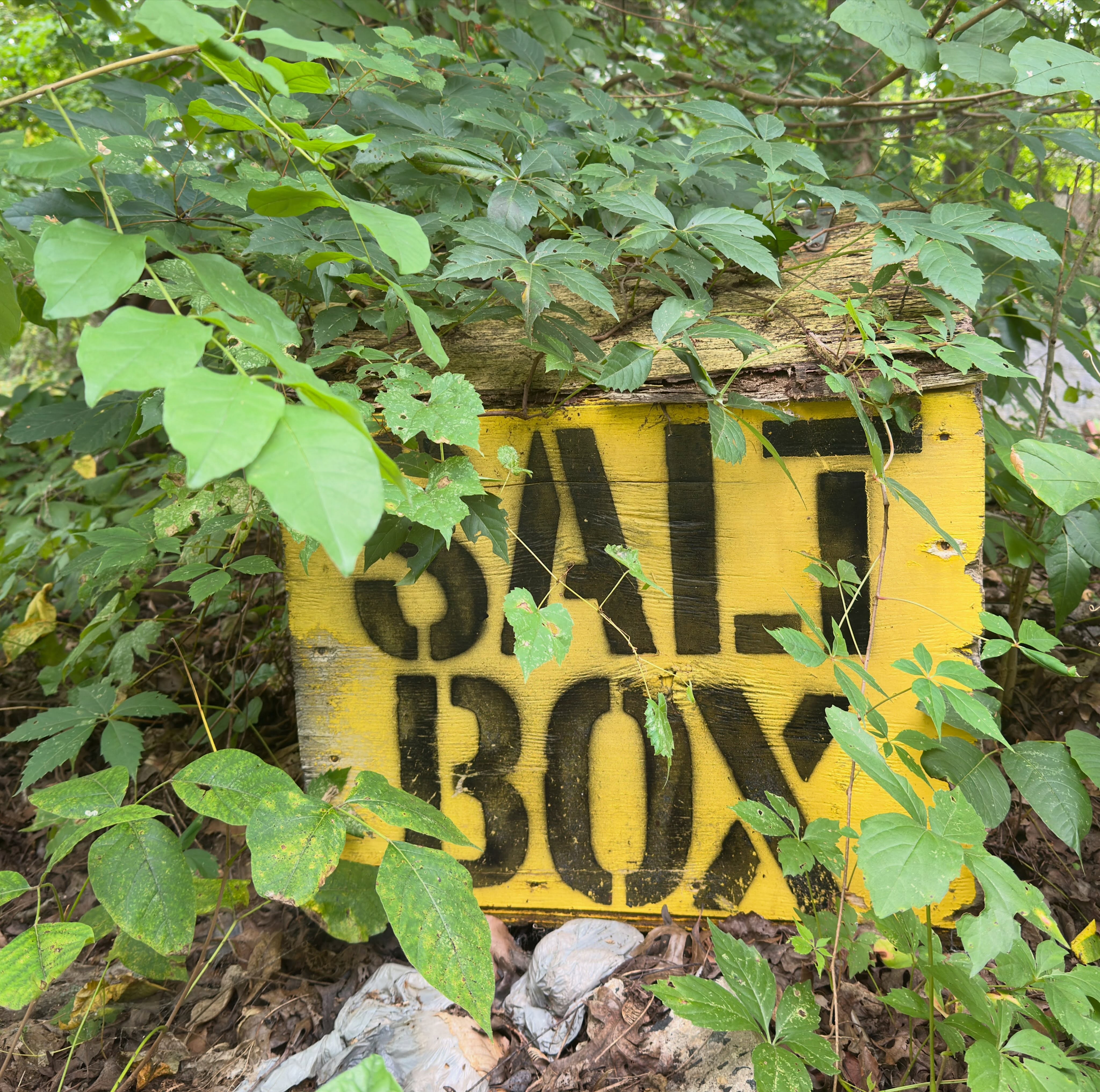 Saltbox carefully concealed on W. Northern Parkway behind Green Fields Nursery, Cross Keys.
#baltimoresaltbox #saltbox #crosskeys #baltimore #greenfieldsnursery